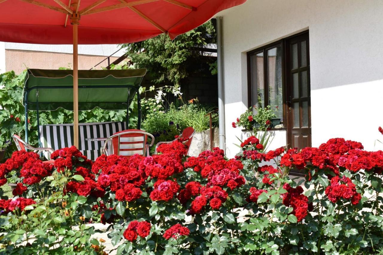 Apartmani "Vila Jelena" ארנדלובאץ' מראה חיצוני תמונה