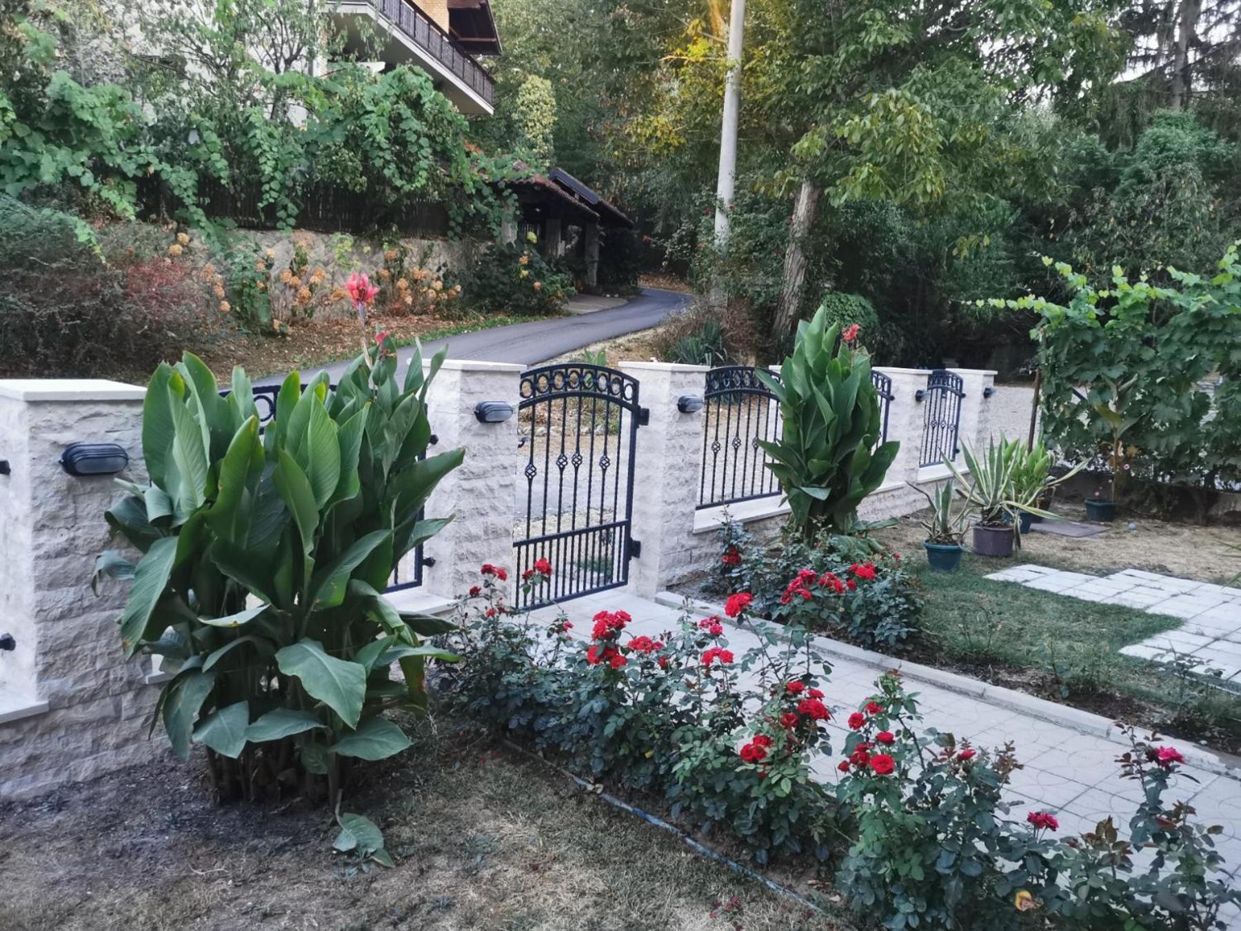 Apartmani "Vila Jelena" ארנדלובאץ' מראה חיצוני תמונה