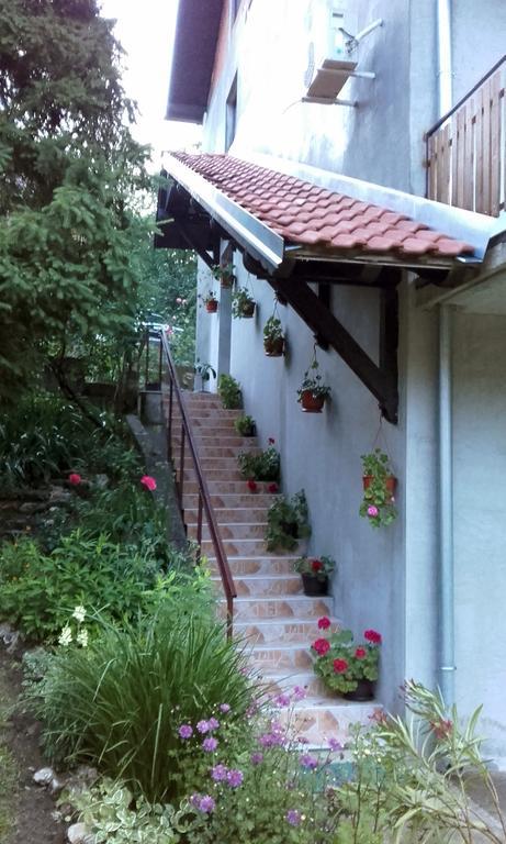 Apartmani "Vila Jelena" ארנדלובאץ' מראה חיצוני תמונה