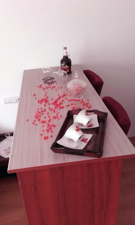 Apartmani "Vila Jelena" ארנדלובאץ' מראה חיצוני תמונה